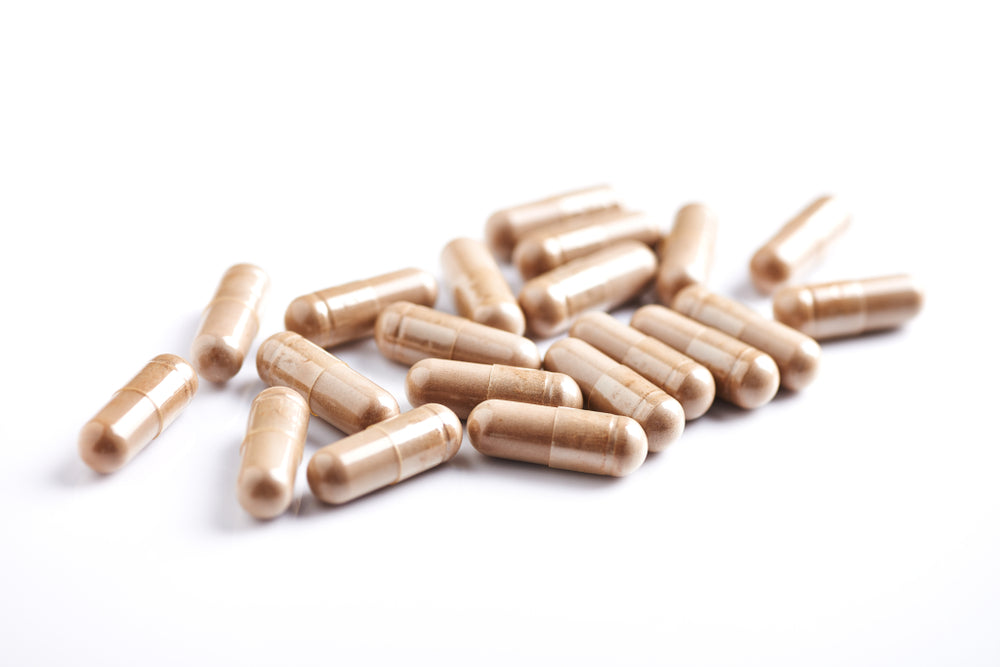 Functional Mushroom Capsules On Sale by Mushroom Spores Direct