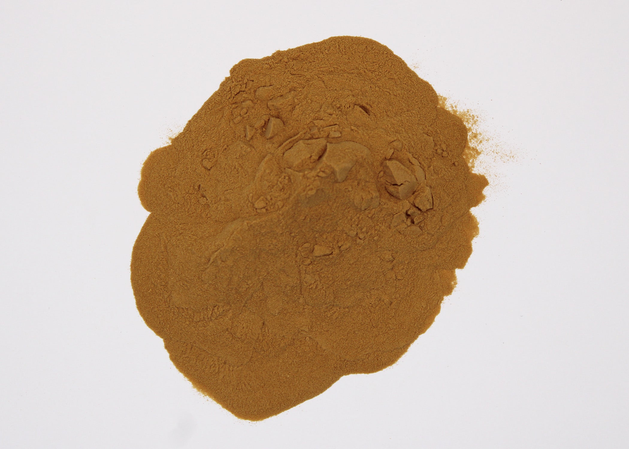 Functional Mushroom Powder – MUSHROOM SPORES DIRECT